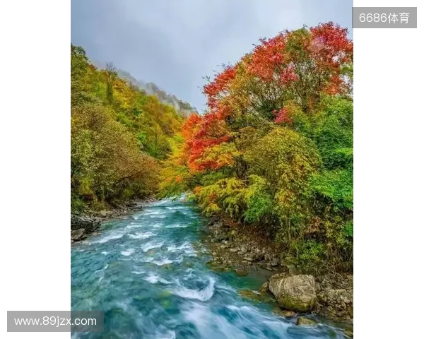 二郎山喇叭河赏秋之旅:立体彩林、野生动物、溪谷红石融为一体 二郎山喇叭河赏秋之旅:立体彩林、野生动物、溪谷红石融为一体